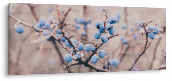 Obraz bobúľ na kríku (120x50 cm)