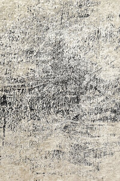 ASIR Koberec 80 x 150 EVIDENCIA sivá