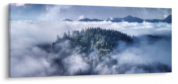Obraz lesa v hmle (120x50 cm)