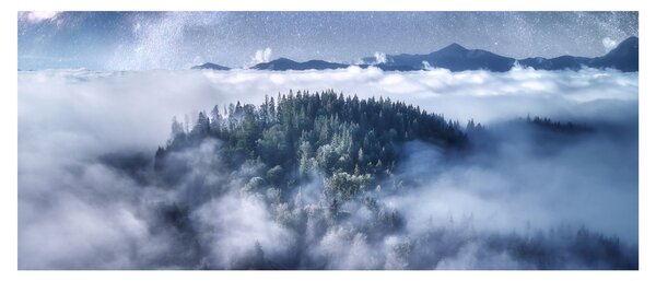 Obraz lesa v hmle (120x50 cm)