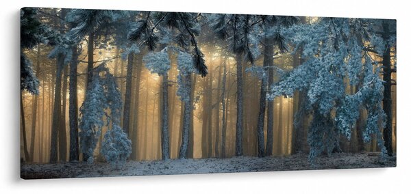 Obraz zasneženého lesa (120x50 cm)