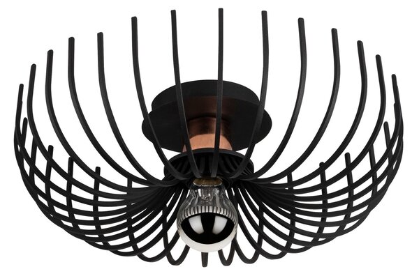 ASIR Luster ASPENDOS - N-641 čierny