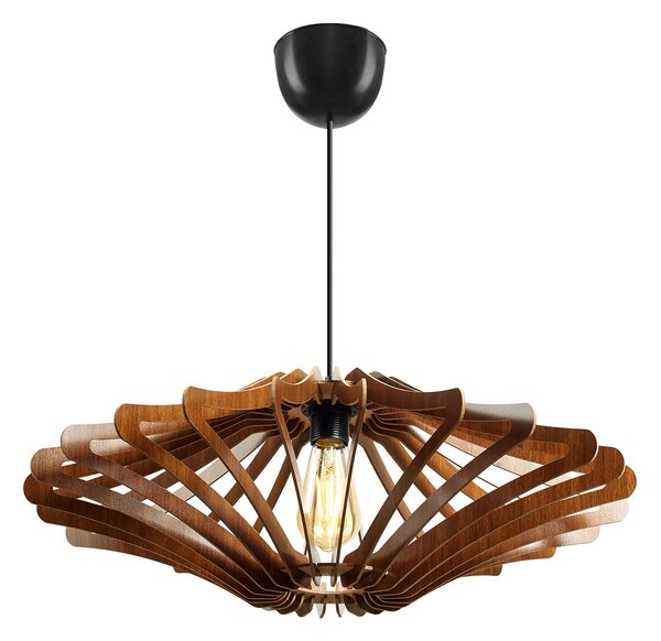 ASIR Luster 168 orech