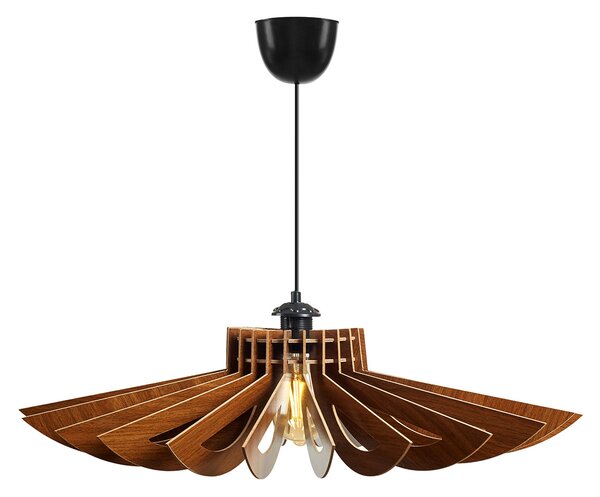 ASIR Luster 156 orech