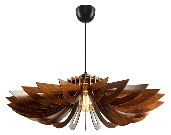 ASIR Luster 156 orech