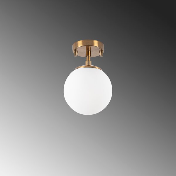 ASIR Luster ATMACA - 10220