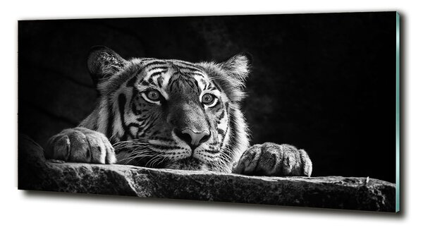 Foto-obraz sklenený horizontálne Tiger