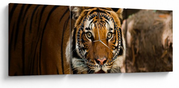 Obraz tigra (s hodinami) (90x30 cm)