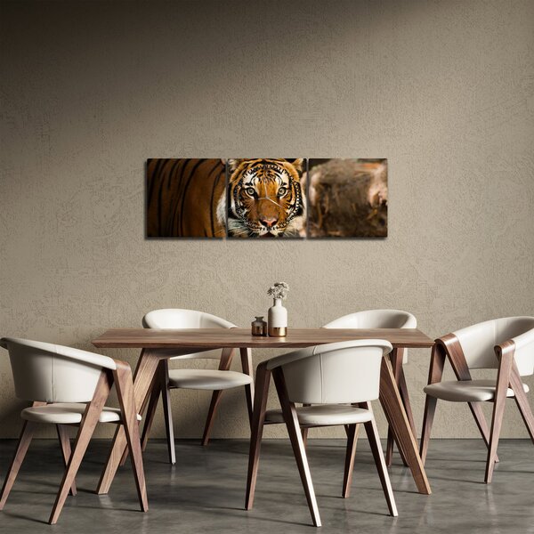 Obraz tigra (s hodinami) (90x30 cm)