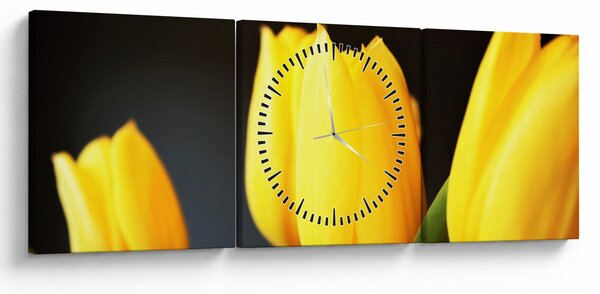 Obraz tulipánov (s hodinami) (90x30 cm)