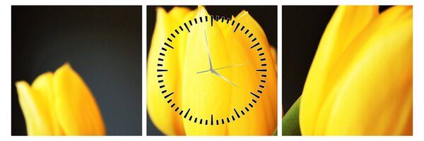 Obraz tulipánov (s hodinami) (90x30 cm)