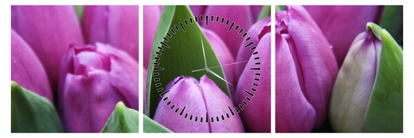 Obraz - kvety tulipánov (s hodinami) (90x30 cm)