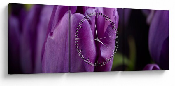 Obraz kvetov tulipánov (s hodinami) (90x30 cm)