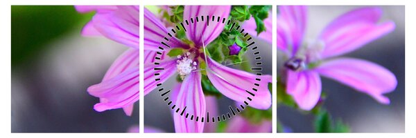 Detailný obraz kvetiny (s hodinami) (90x30 cm)