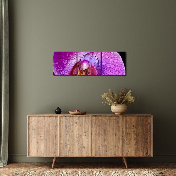 Detailný obraz kvetu orchidey (s hodinami) (90x30 cm)