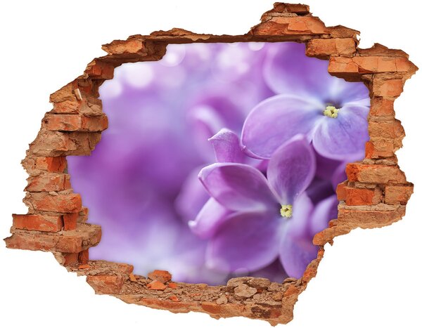 Diera 3D fototapeta na stenu Fialové kvety nd-c-64853789