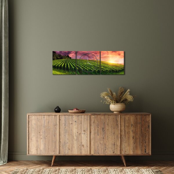 Obraz vinice s farebným nebom (s hodinami) (90x30 cm)