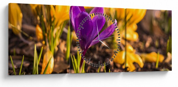 Obraz fialovej kvetiny (s hodinami) (90x30 cm)