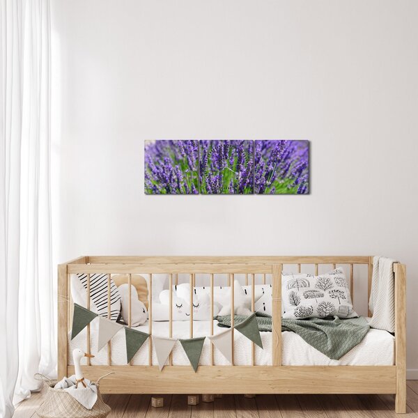 Obraz - levanduľa (s hodinami) (90x30 cm)