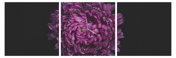 Obraz fialovej kvetiny (s hodinami) (90x30 cm)