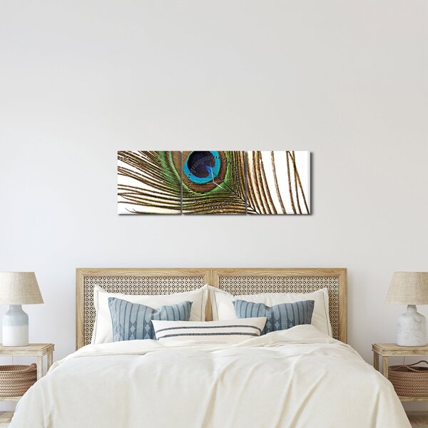 Obraz pávieho peria (s hodinami) (90x30 cm)