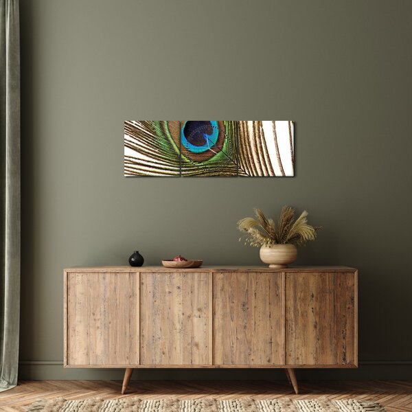 Obraz pávieho peria (s hodinami) (90x30 cm)