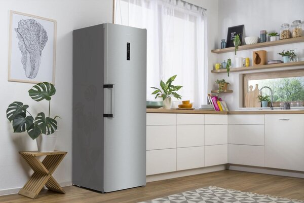 Gorenje FN619DAXL6 - Skriňová mraznička