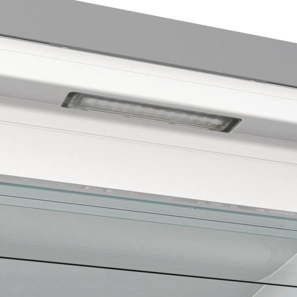 Gorenje FN619DAXL6 - Skriňová mraznička
