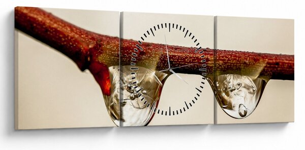 Obraz kvapiek na vetve (s hodinami) (90x30 cm)