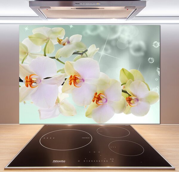 Panel do kuchyne Biela orchidea pl-pksh-100x70-f-91133337