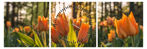Obraz - oranžové tulipány (s hodinami) (90x30 cm)
