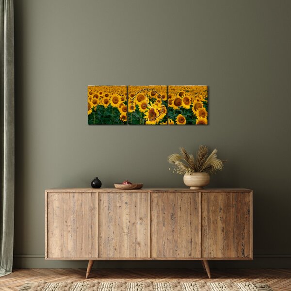 Obraz slnečnicového poľa (s hodinami) (90x30 cm)