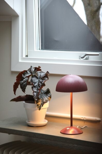 Markslöjd 109142 - Stolná lampa ZIN 2xG9/20W/230V ružová