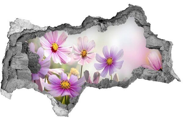 Samolepiaca diera na stenu Kvety na lúke nd-b-50039707