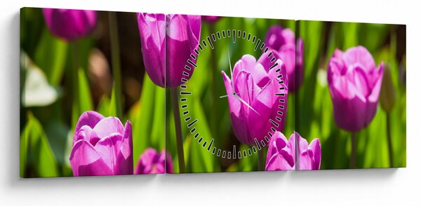 Obraz tulipánov na lúke (s hodinami) (90x30 cm)