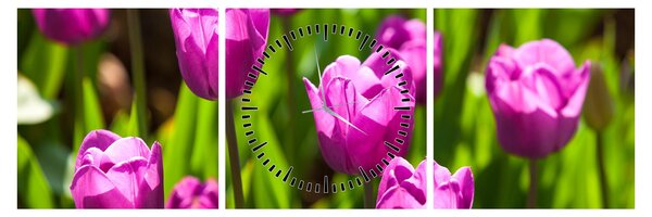 Obraz tulipánov na lúke (s hodinami) (90x30 cm)