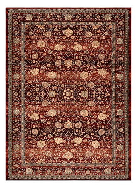 Koberec KASHQAI 4362 300 ornament, bordový / čierny