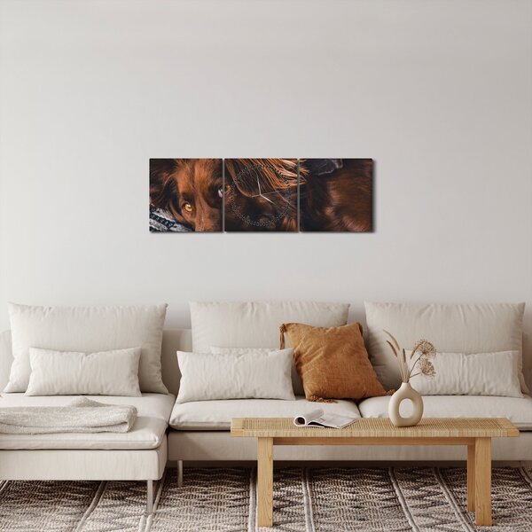 Obraz ležiacich psov (s hodinami) (90x30 cm)