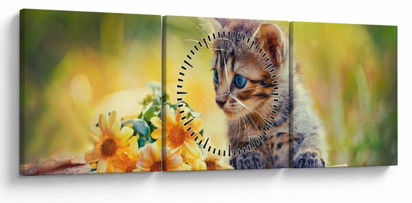 Obraz mačiatka pozerajúce sa na kvetinu (s hodinami) (90x30 cm)