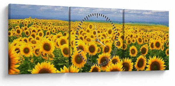 Obraz slnečnicového poľa (s hodinami) (90x30 cm)