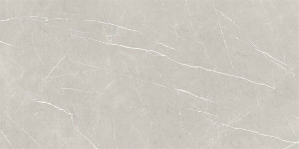 Eternal Pearl Natural 60x120 R