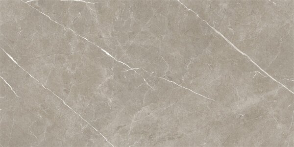 Eternal Taupe Natural 60x120 R