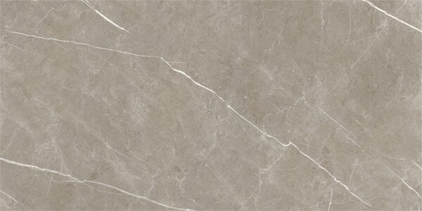 Eternal Taupe Natural 60x120 R