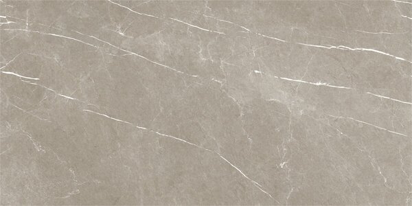 Eternal Taupe Natural 60x120 R