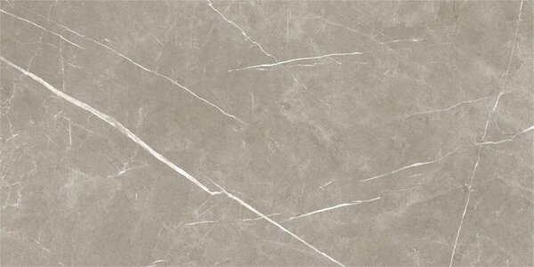 Eternal Taupe Natural 60x120 R
