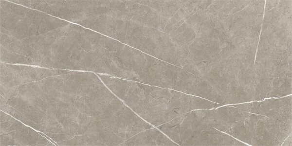 Eternal Taupe Natural 60x120 R