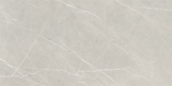 Eternal Pearl Natural 60x120 R