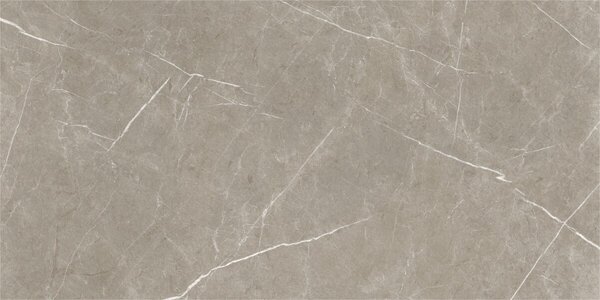 Eternal Taupe Natural 60x120 R