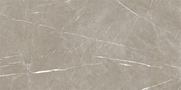 Eternal Taupe Natural 60x120 R