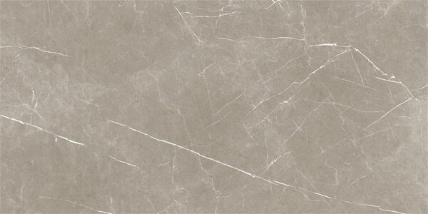 Eternal Taupe Natural 60x120 R